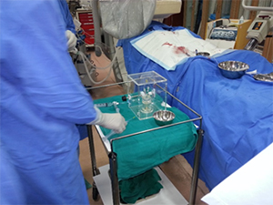 Liver Tumor Treatment In Delhi